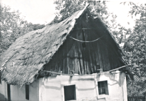 eika image